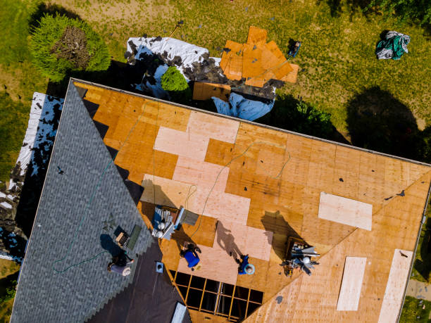 Best Residential Roofing Contractor  in Covington, OH