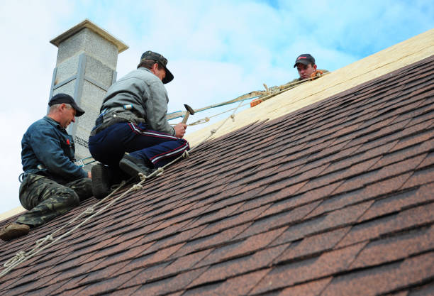 Best Metal Roofing Contractor  in Covington, OH